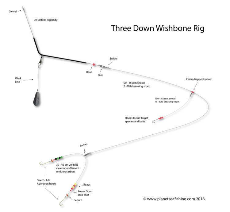 three down wishbone rig