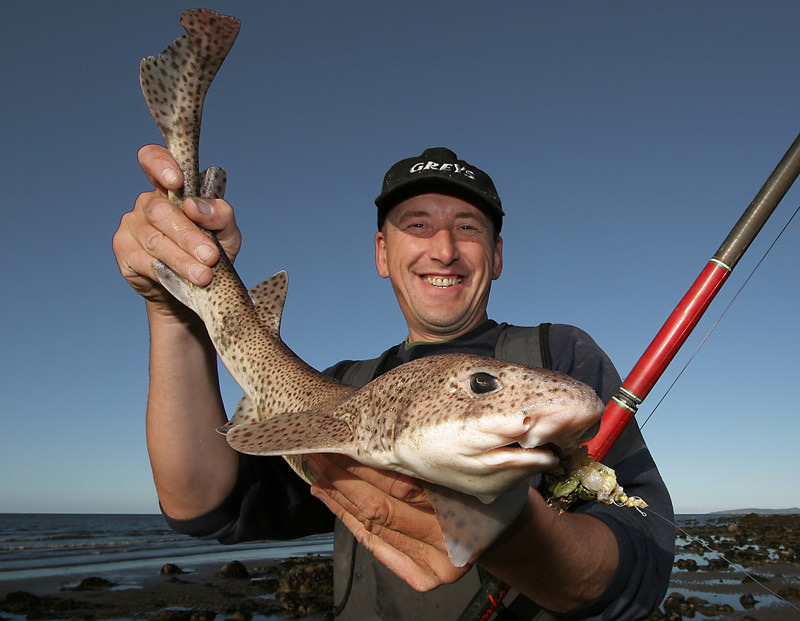 an angler with a head shot of a lesser spotted dogfish