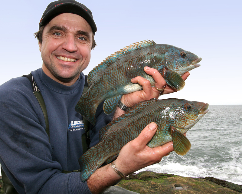 George Smith with two Filey Brigg ballan wrasse