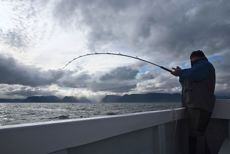 an angler with rod bent into a fish in Iceland