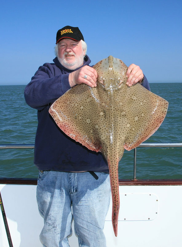 a blonde ray from the boat