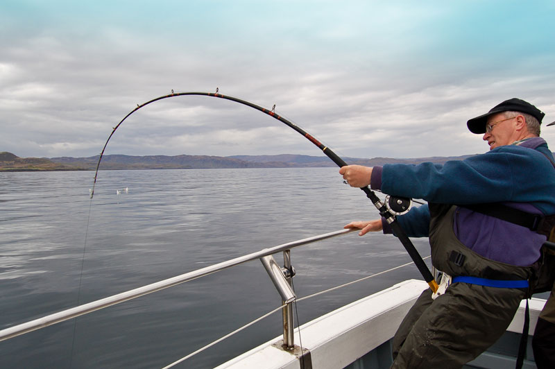 an angler bends into an Oban common skate