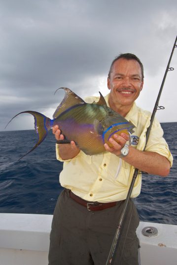mexico fishing trigger fish