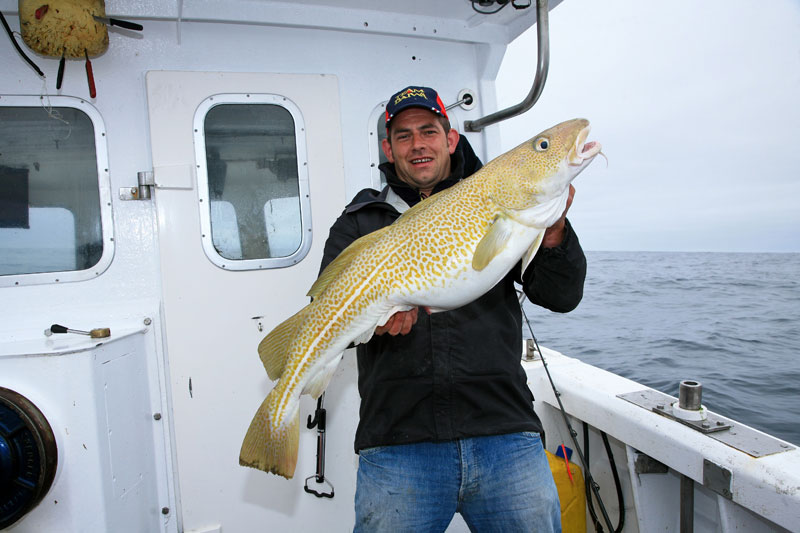 shetland boat fishing cod
