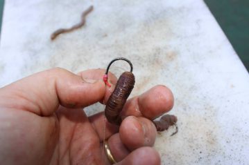 Step 10 - The Bloodworm Trap pennel rig