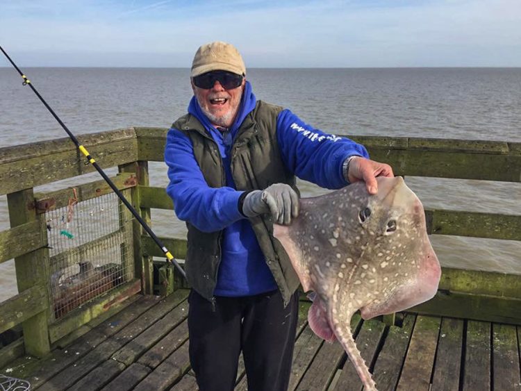 Essex beaches thornback ray