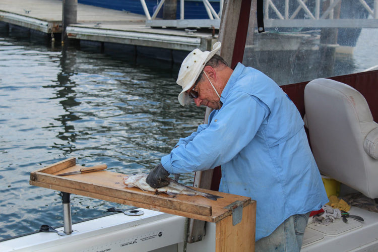 Capt. Don filleting fish