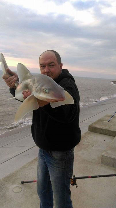 Martin Foxcroft with a smoothhound