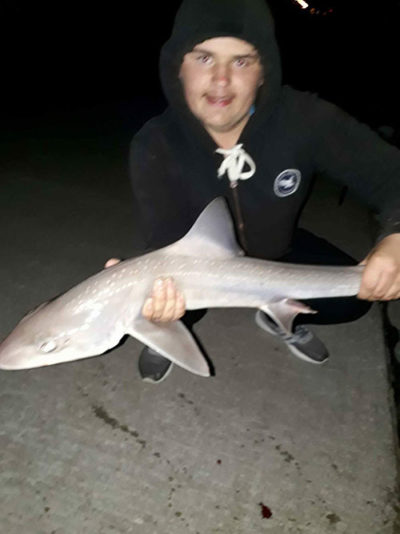 Nathan with his smoothhouond