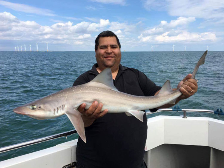 Lee Dunkley with his 11lb smoothhound