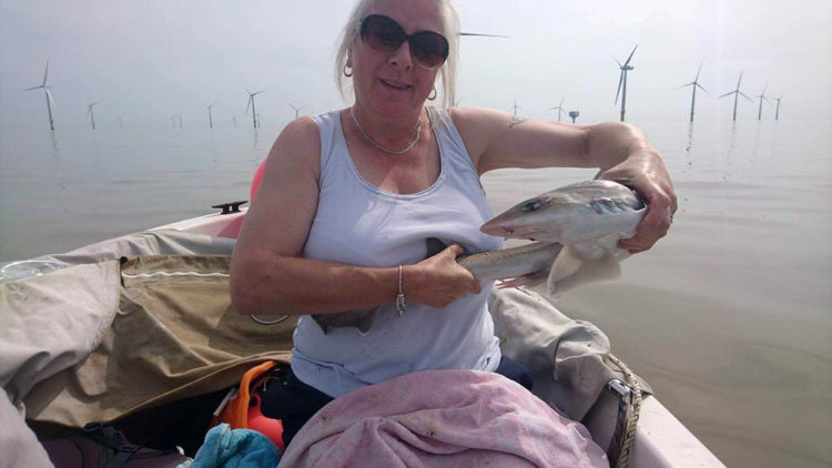 smoothhound for Sandie Davis