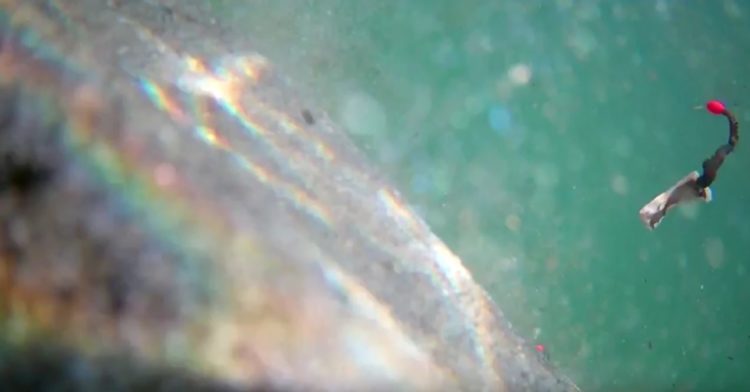 baited hook with floating beads