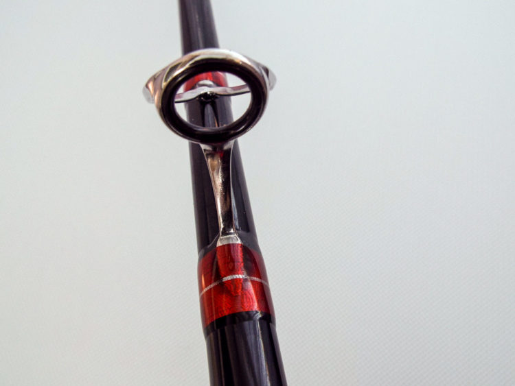 vega masami surf fuji rings