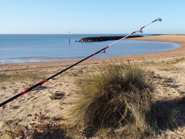 vega masami surf tip