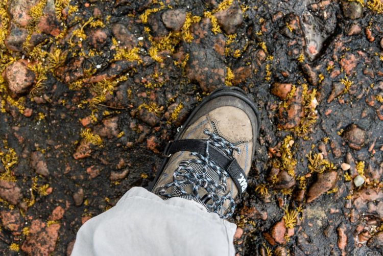 Black algae and weed, the rock anglers underfoot nighmare