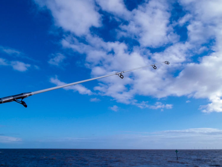 Tronixpro Injection GT tip section