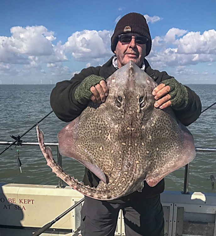 David Mynors with a 15lb thornback ray