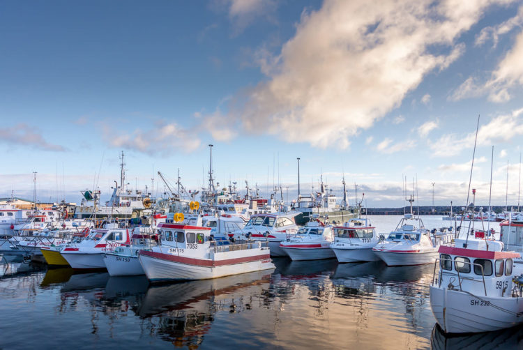 Olafsvik harbour and fleet