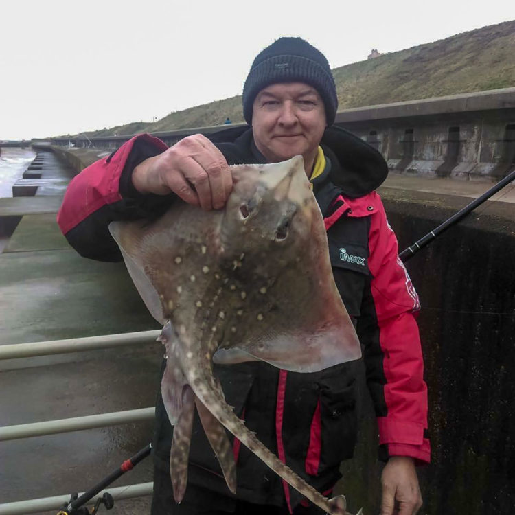 Martin Foxtrot with a Gynn Wall ray