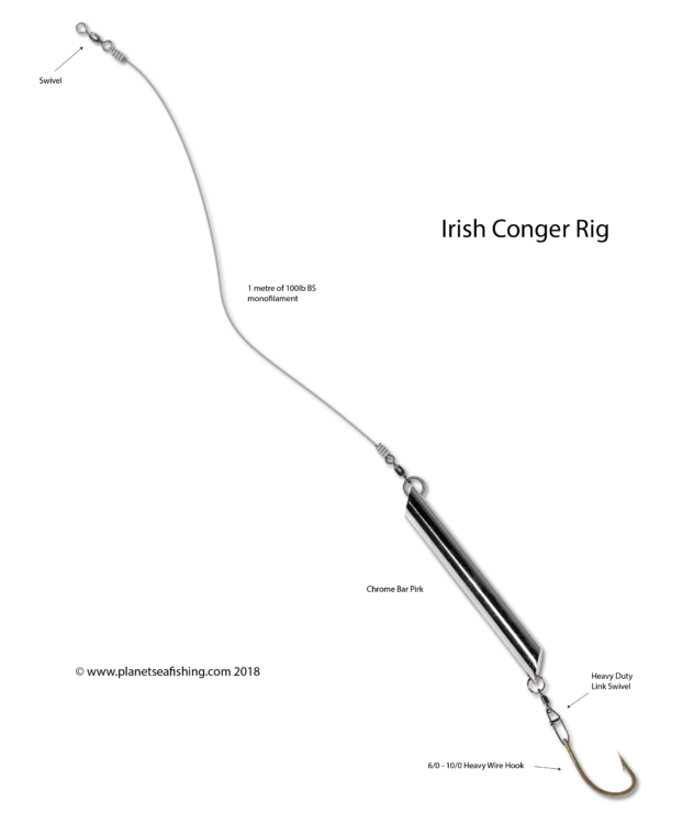 irish conger rig