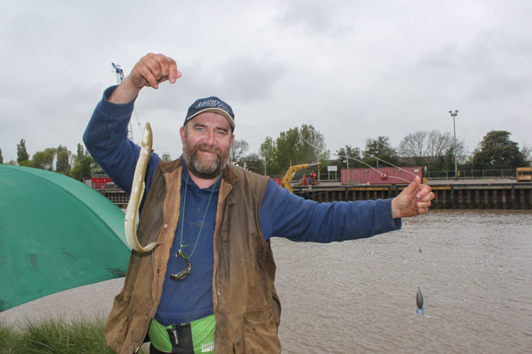 Library photo of River Nene eel