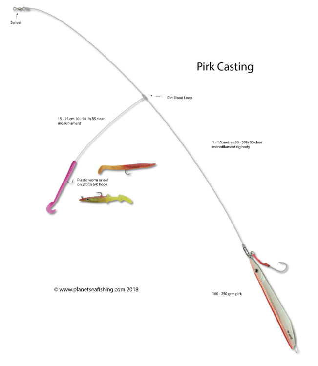 pirk casting rig