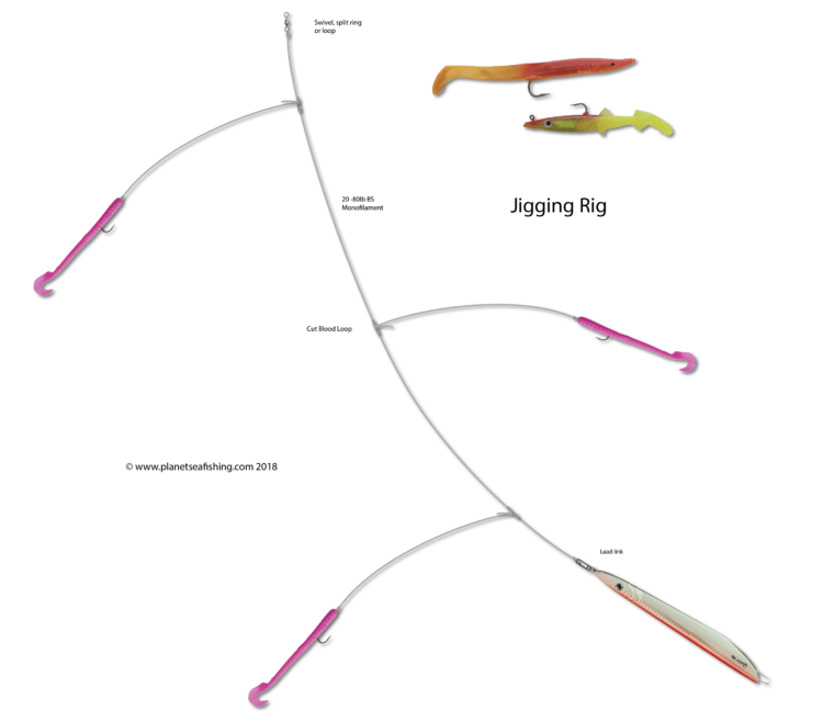 jigging rig