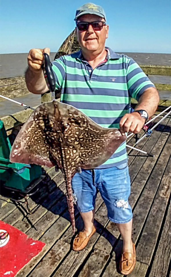 Martin Grossman with his thornback ray