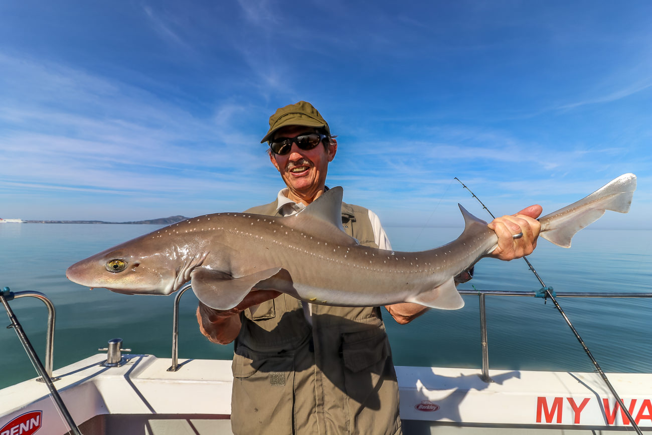 Vic Davis with the first smoothie of the day