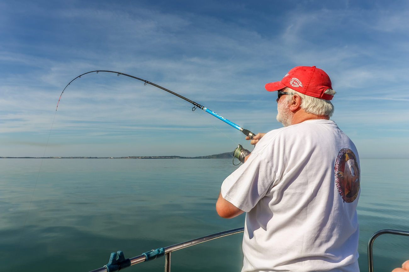 The Blue Zone Telepower handles a hound