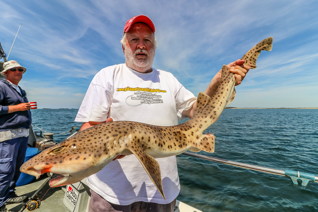 The author with a feisty huss