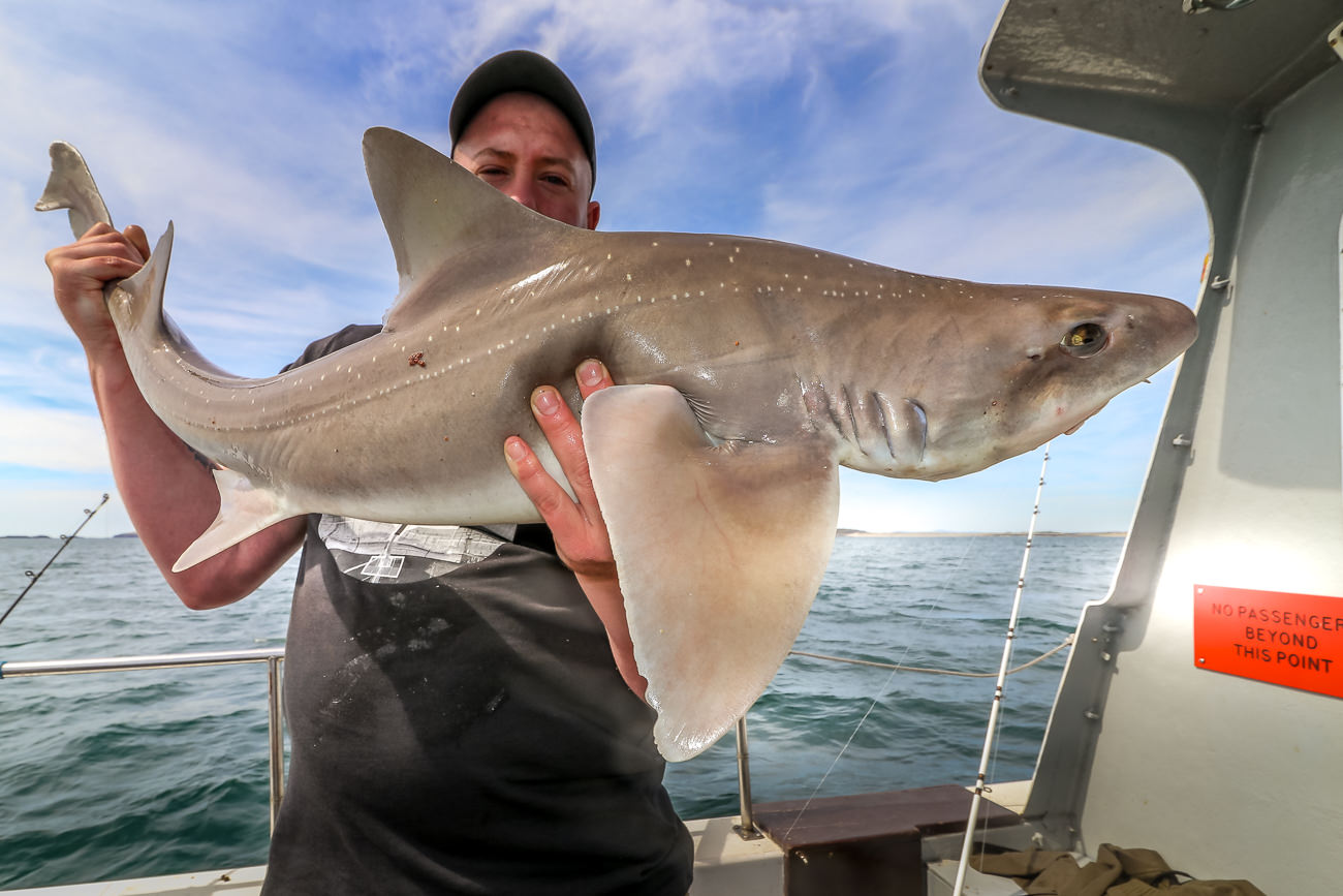 Dean Jones with the 17lb 1oz smoothhound