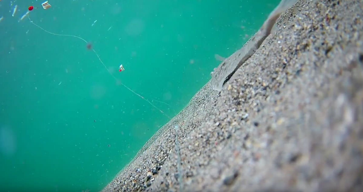 flounders and pop ups