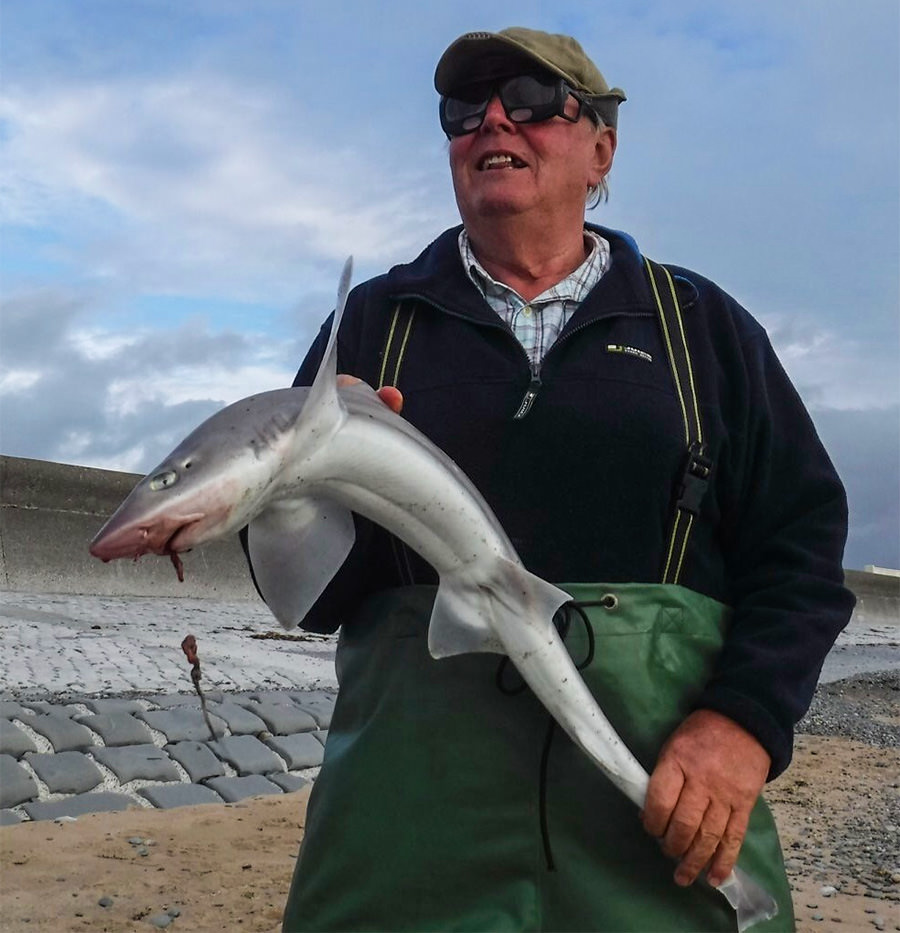Alf Ingham with a Rossall Point smoothhound