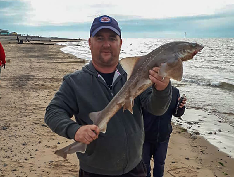 Chris Minto with a smoothound from the fleetwood channel
