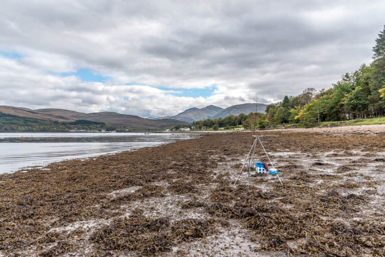 Looking east along the beach from the fence area