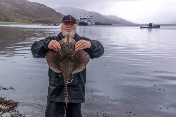 7lb Ardgour beach ray from the east of the salmon jetty