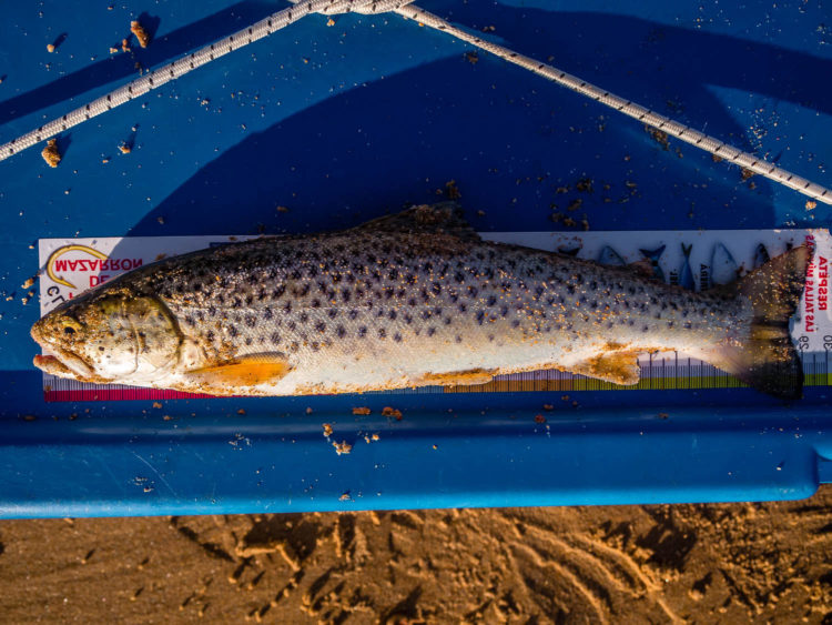 Embo beach sea trout