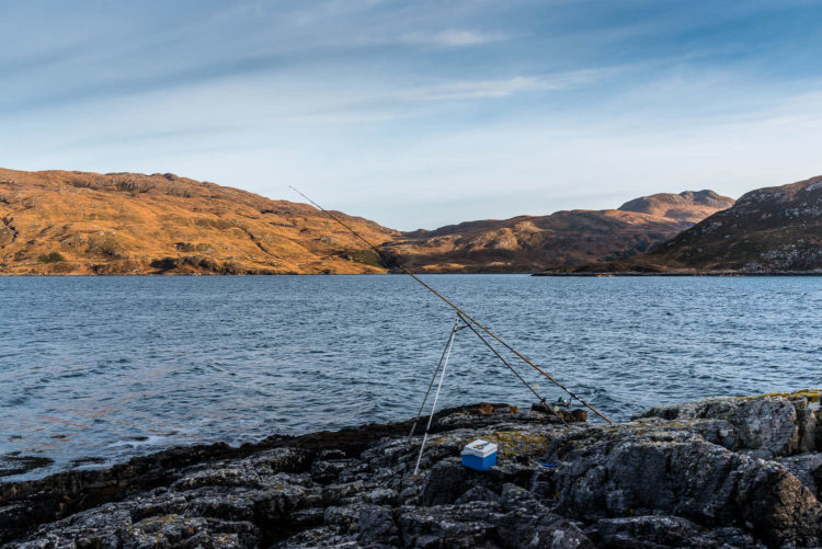 Researching A New Shore Mark Rod In Rest