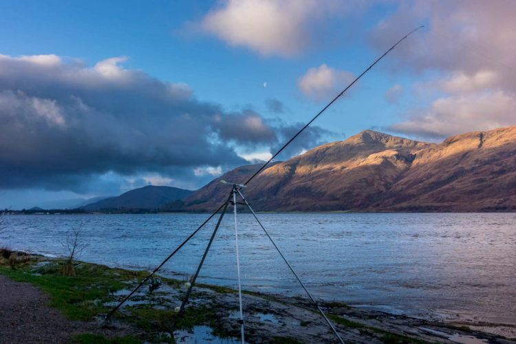 loch linnhe picnic area dogfish
