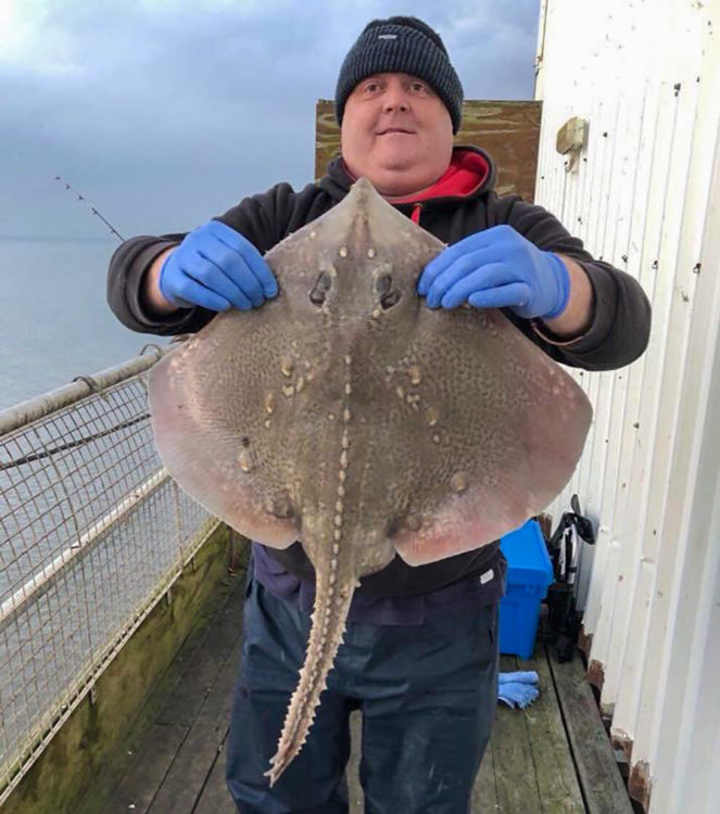 Pier member Tony Goldthorpe with a cracking 9lb thornback ray