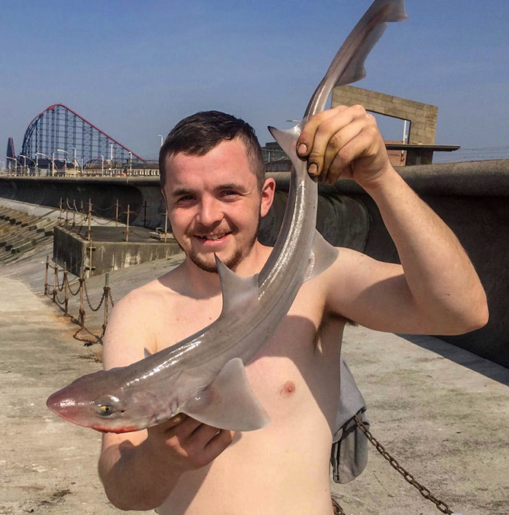 Yellowtails produced a nice smoothhound for Peter Bailie