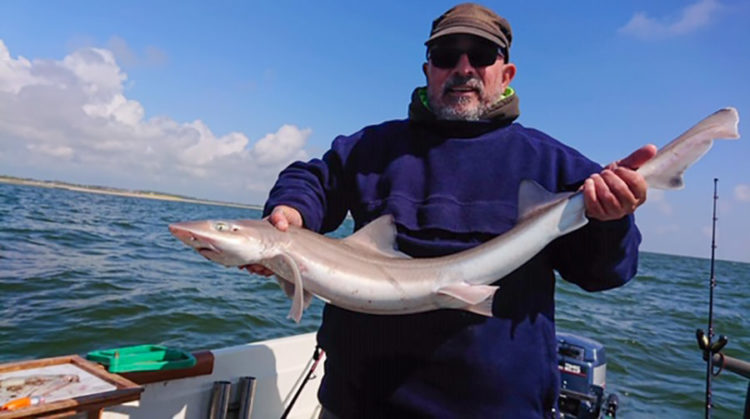 Alan with a smoothhound