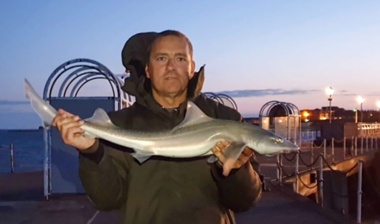 Local angler Den Doherty with a Clacton Pier smoothhound