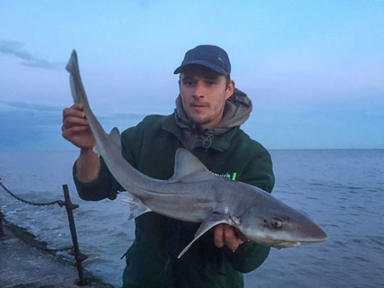 Guy Shaw with a smoothhound caught at South Shore
