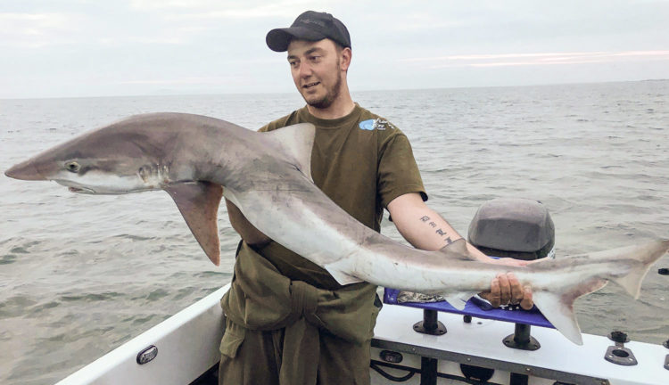 Nathan Berrie with a huge 50lb plus tope