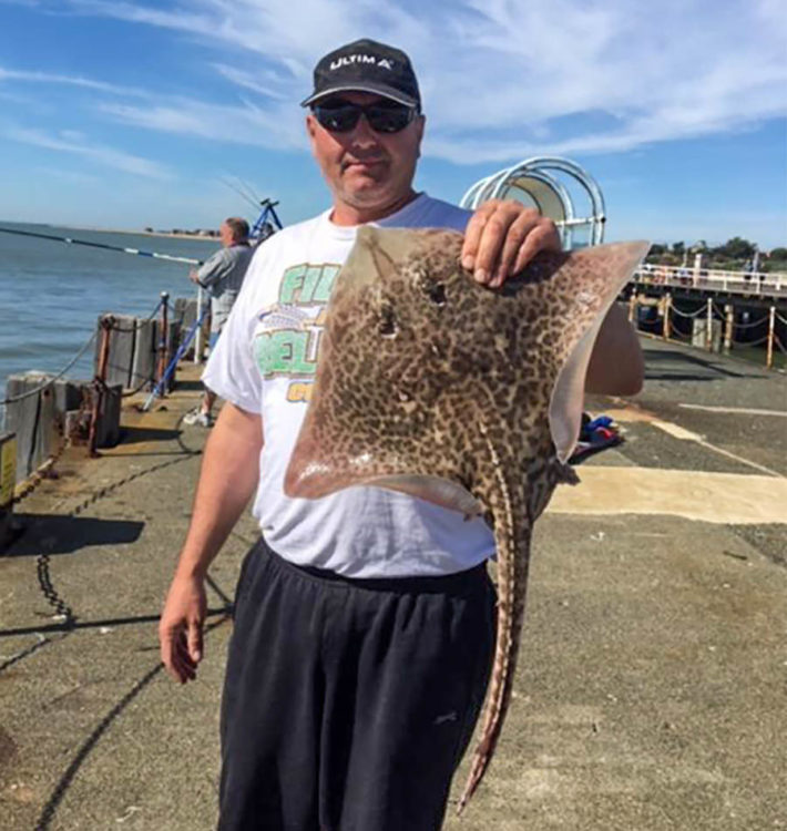 Neil Cocks displays one of his thornback ray