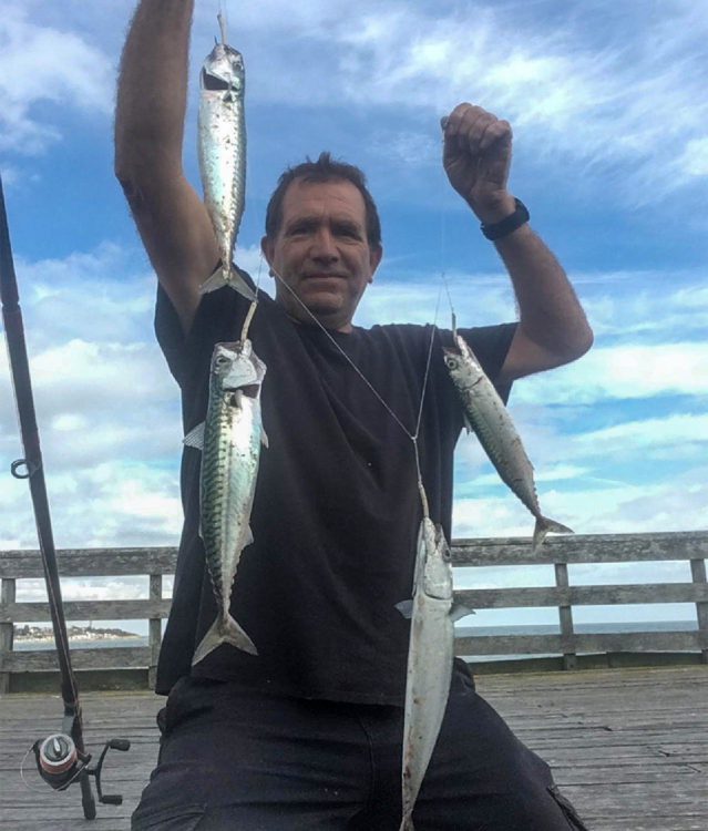 mackerel were shoaling and feeding profusely