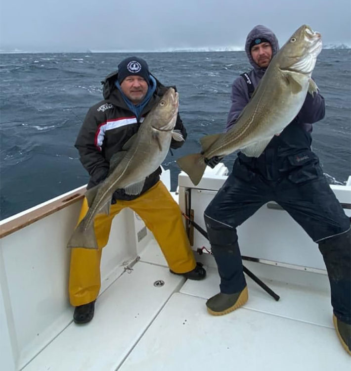 Nigel and James with cod while cod fishing in Norway