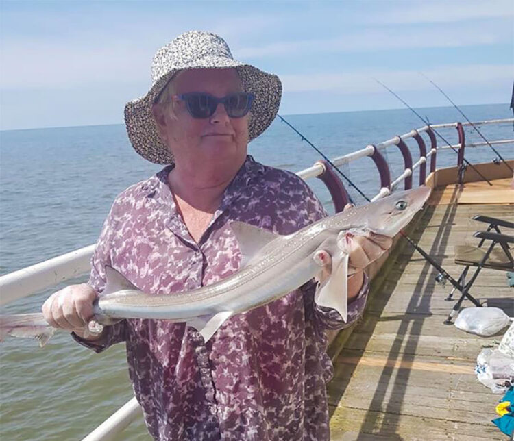 Pier member Kathleen England with a smoothhound